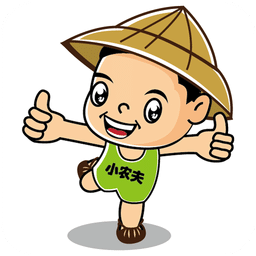 小農(nóng)夫
