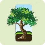 環(huán)境概念