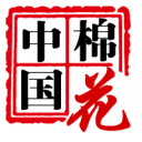 棉花市场