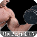 肌肉是怎样炼成的