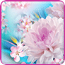 落花動(dòng)態(tài)壁紙