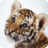 動物壁紙