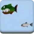 鯨魚(yú)吃小魚(yú)