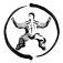 陈氏太极拳