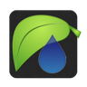 热带雨林
