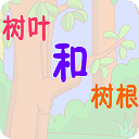 樹葉和樹根