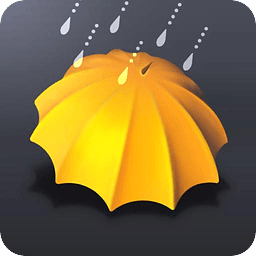 愛情雨