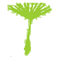 花粉測試