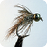 飛蠅釣魚
