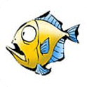 點(diǎn)點(diǎn)魚