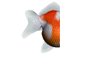 乒乓球魚