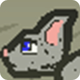 打野貓