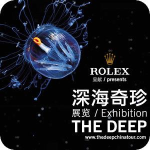 深海奇珍