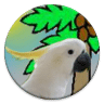 熱帶鳥類