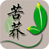 苦蕎