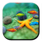 魚(yú)缸壁紙