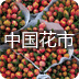 中国花市
