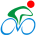 中國(guó)電動(dòng)自行車