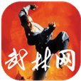武林网