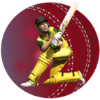T20板球世界杯