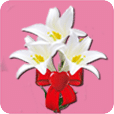結婚了