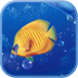 飛翔的魚