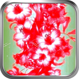 玲瓏花開(kāi)