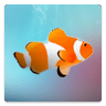 熱帶魚壁紙