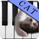 猫咪钢琴