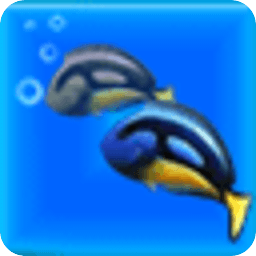 釣魚大賽