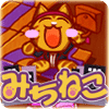 迷路猫