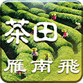 雁南飛茶田