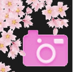 樱花相机