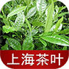 上海茶葉