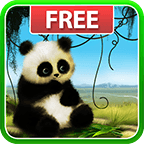 熊猫动态壁纸免费下载