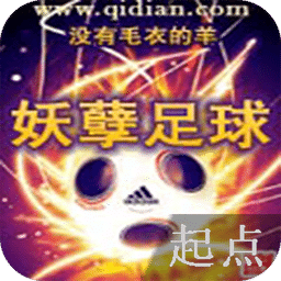 妖孽足球