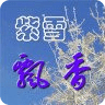 紫雪飄香