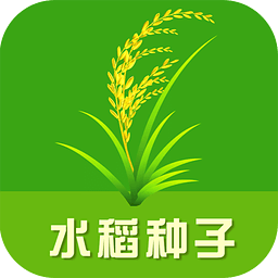 水稻種子