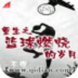 重生之籃球燃燒的歲月