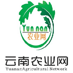云南農(nóng)業(yè)網(wǎng)