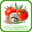 云南蔬菜網(wǎng)
