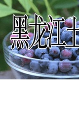 黑龍江土特產
