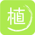 綠植批發(fā)