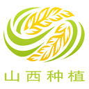 山西種植