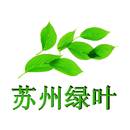 苏州绿叶