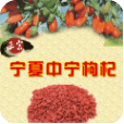 寧夏中寧枸杞