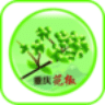 重慶花椒