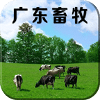 廣東畜牧