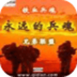 永遠(yuǎn)的兵魂