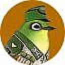 叢林兔子